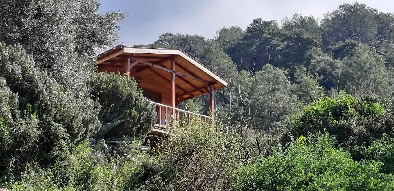 Homestay Casa Roja Bed & Breakfast Faralya Turkey