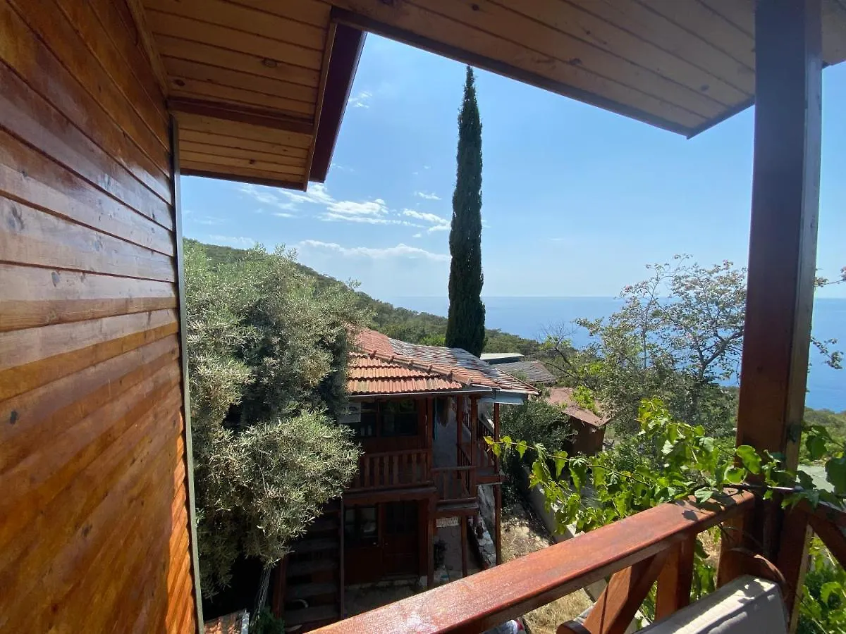 Casa Roja Bed & Breakfast Faralya 0*, Cedit Turkey