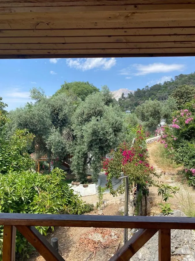 Casa Roja Bed & Breakfast Faralya 0*, Cedit