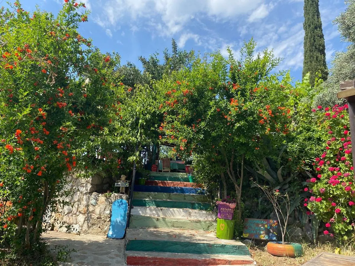 Casa Roja Bed & Breakfast Faralya 0*, Cedit