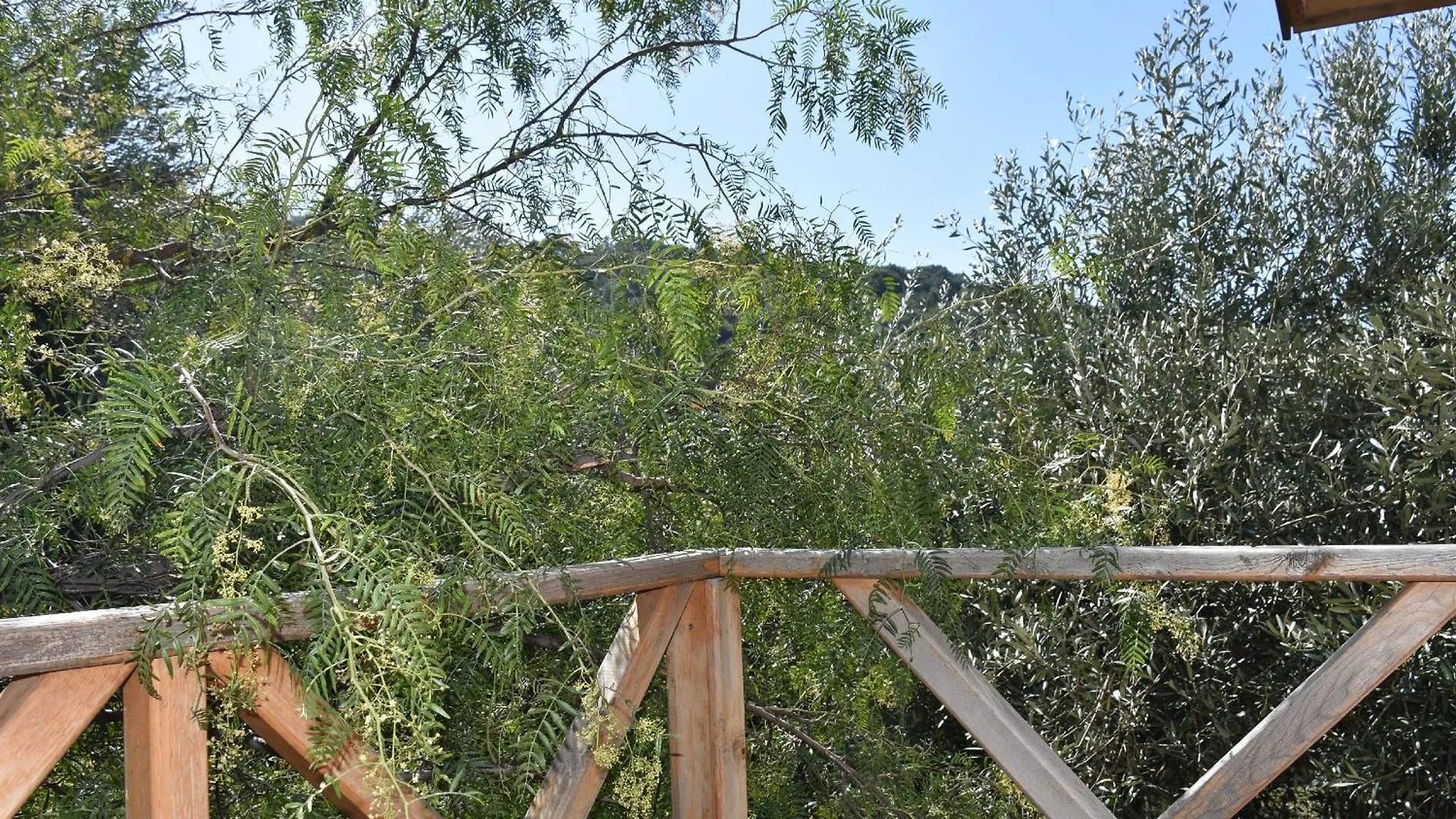 Casa Roja Bed & Breakfast Faralya Turkey