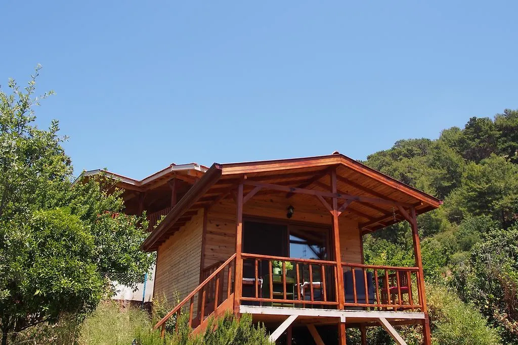 Homestay Casa Roja Bed & Breakfast Faralya Turkey